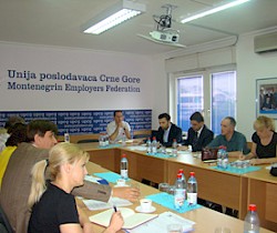 Saradnja sa Upravom carina